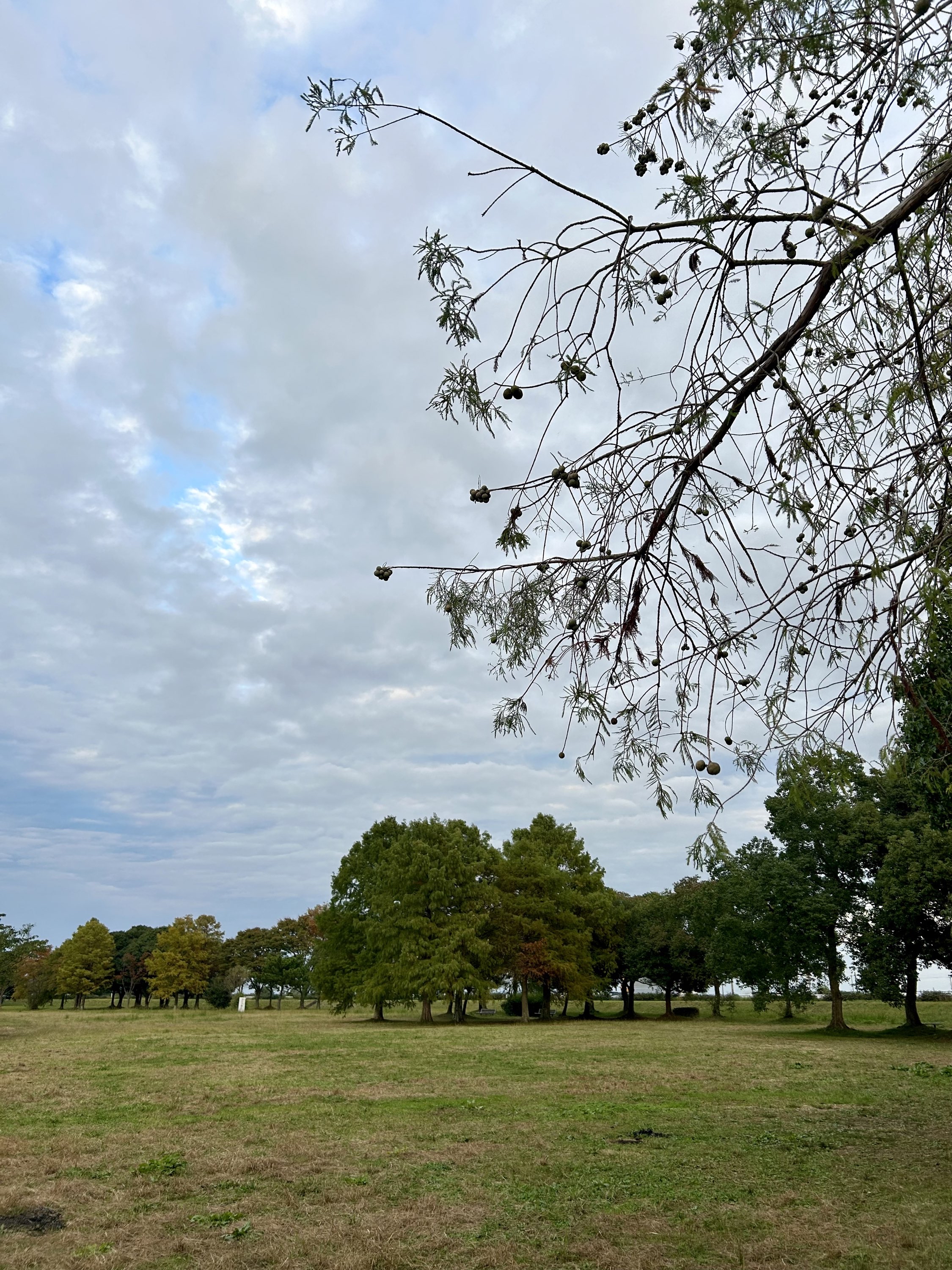 夕方16時すぎの琵琶湖畔
