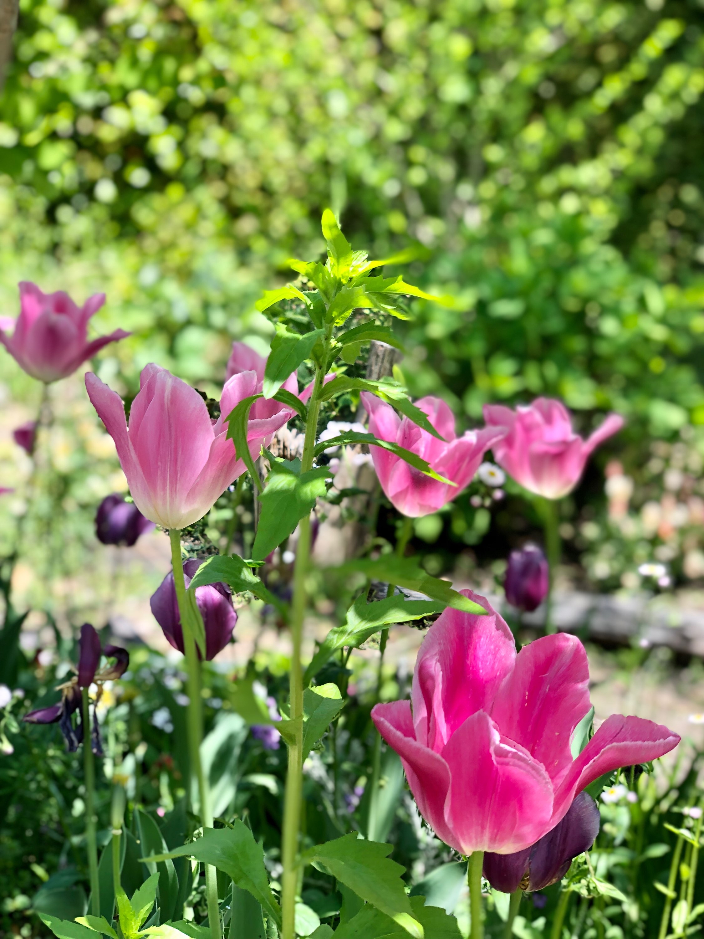 1点にフォーカス