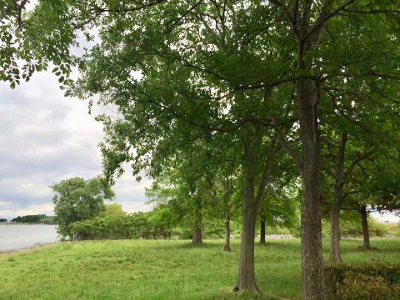 今朝の琵琶湖畔