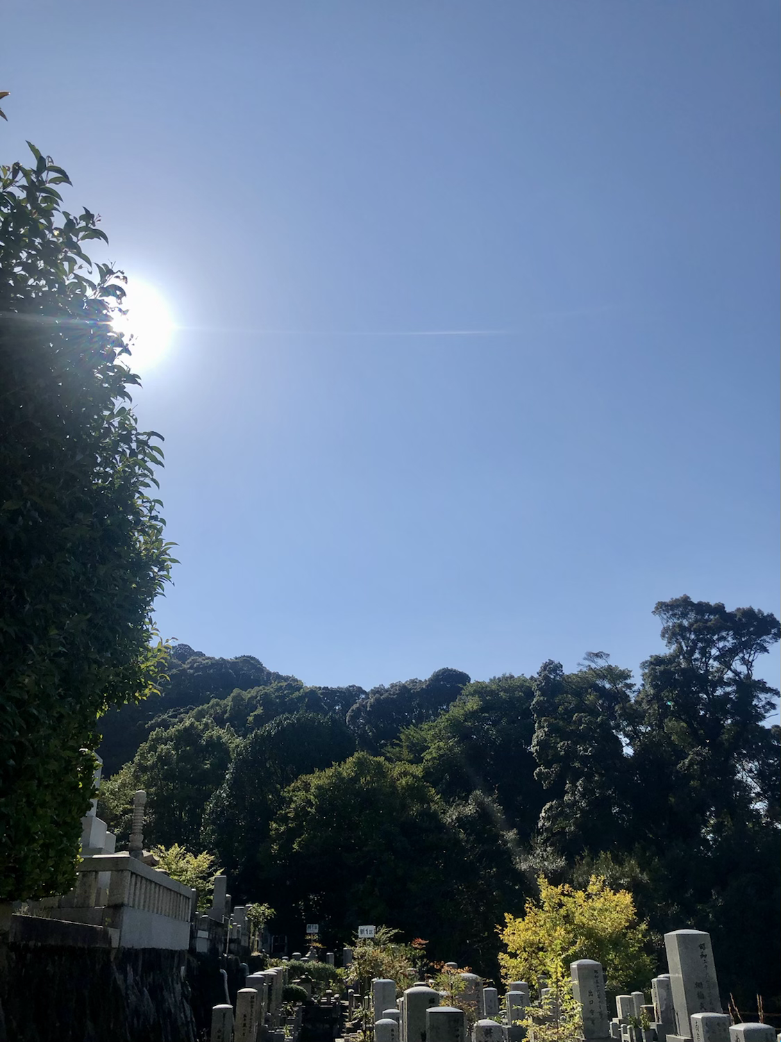 今日のお墓参り