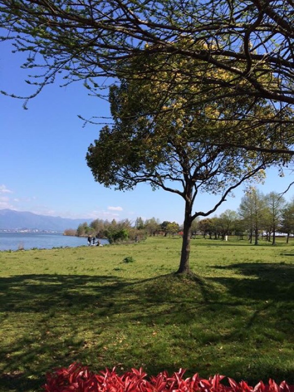 今朝の琵琶湖畔