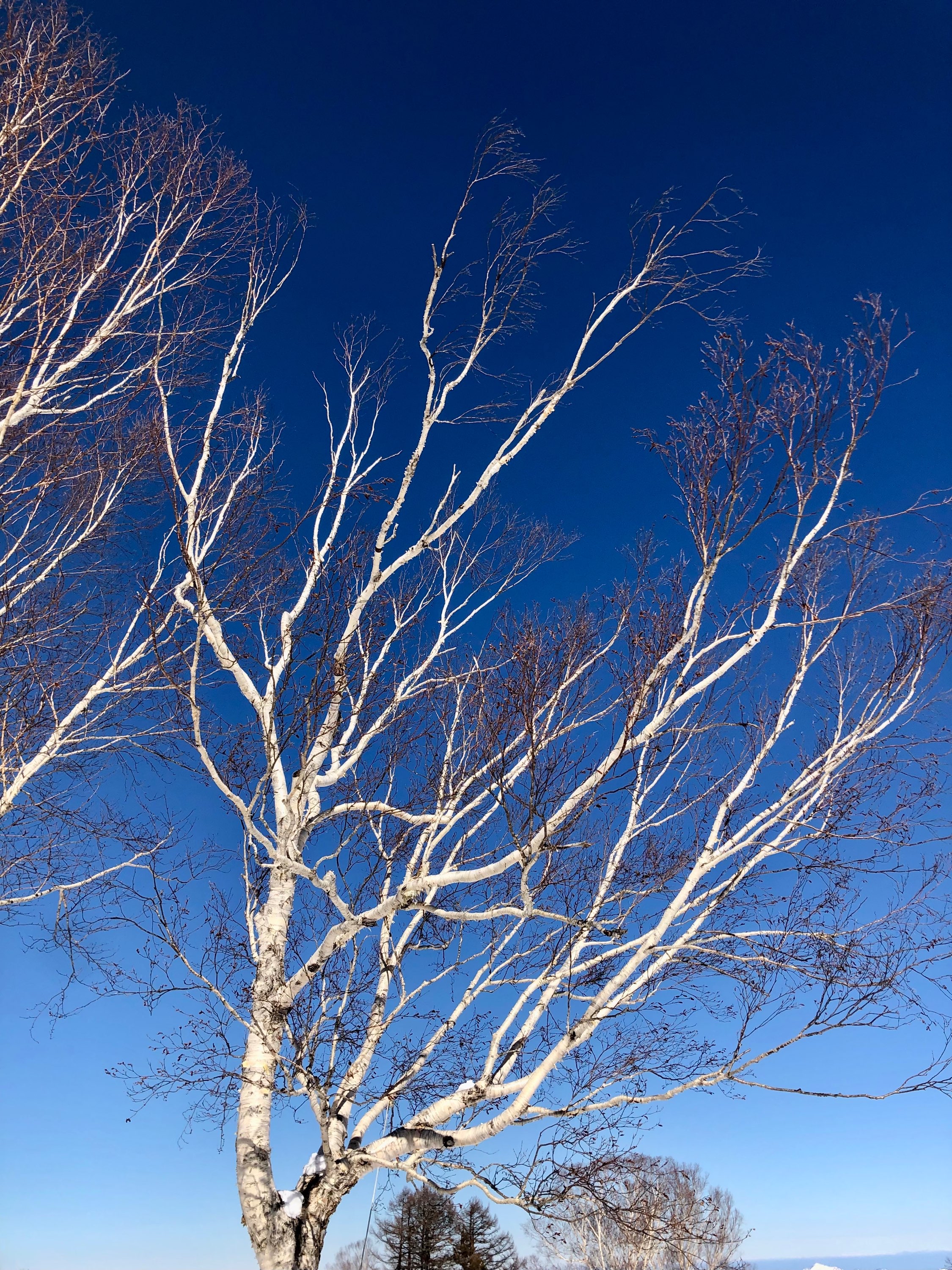 野沢温泉スキー2日目
