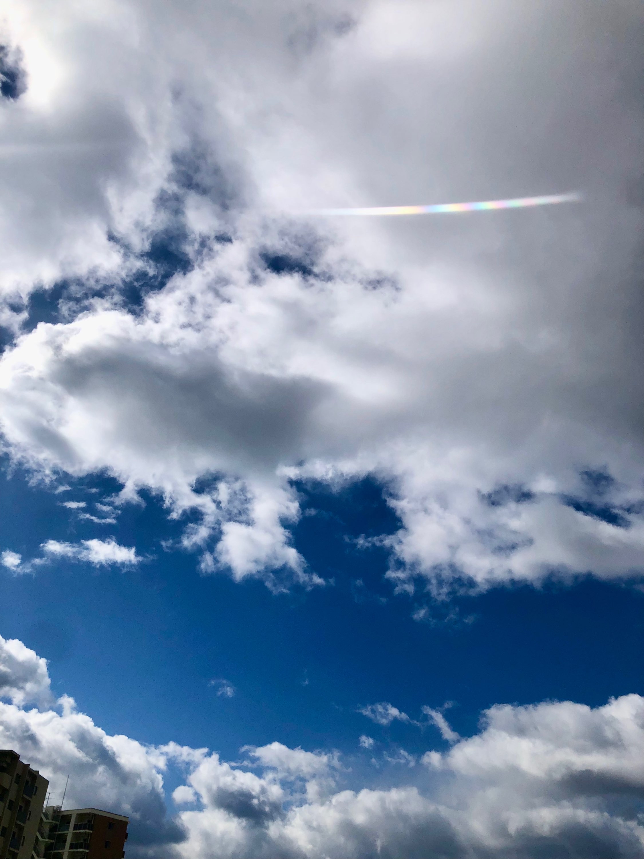 今日はオーラ鑑定🌈を受けに