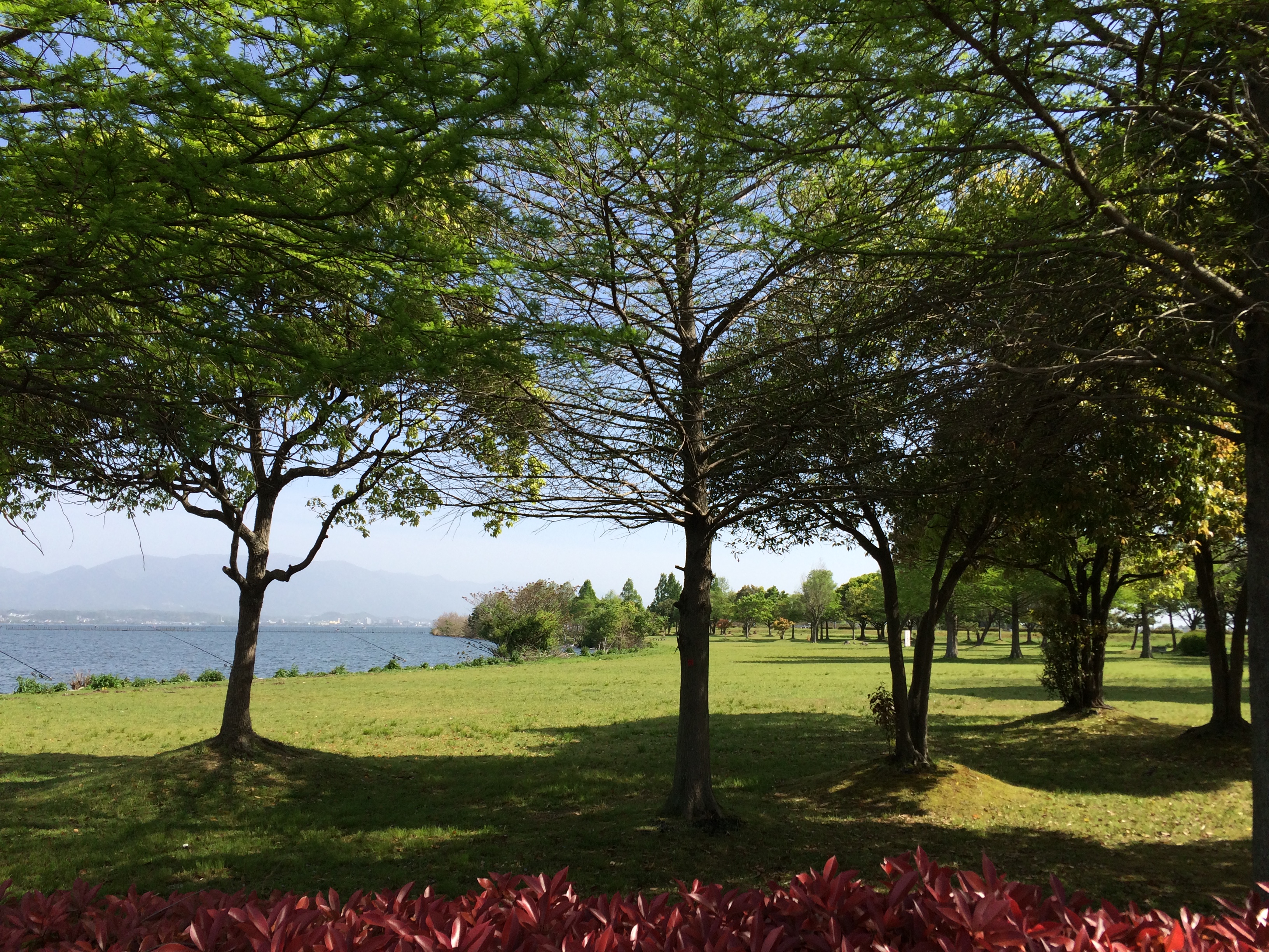 【色を見分けるチカラを磨くには】自然界の本物の色を見るが近道