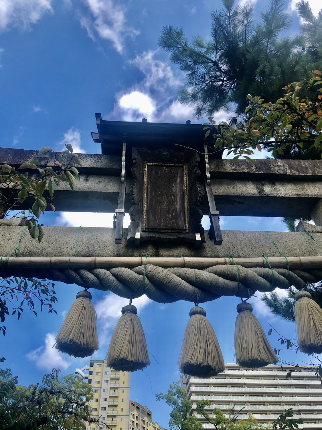 ご近所の神社へ