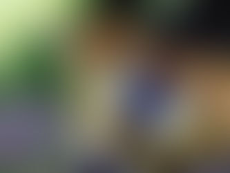 真夏日のファッション:いつものジーンズに黄色の小物