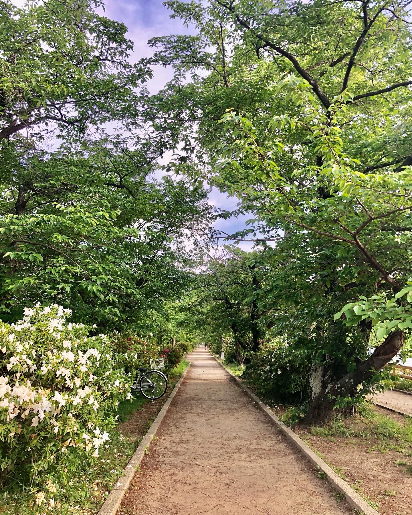 夕方から長岡天満宮へ