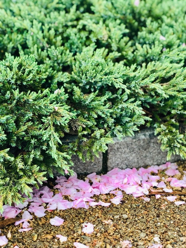 配色の師は自然の景色♪