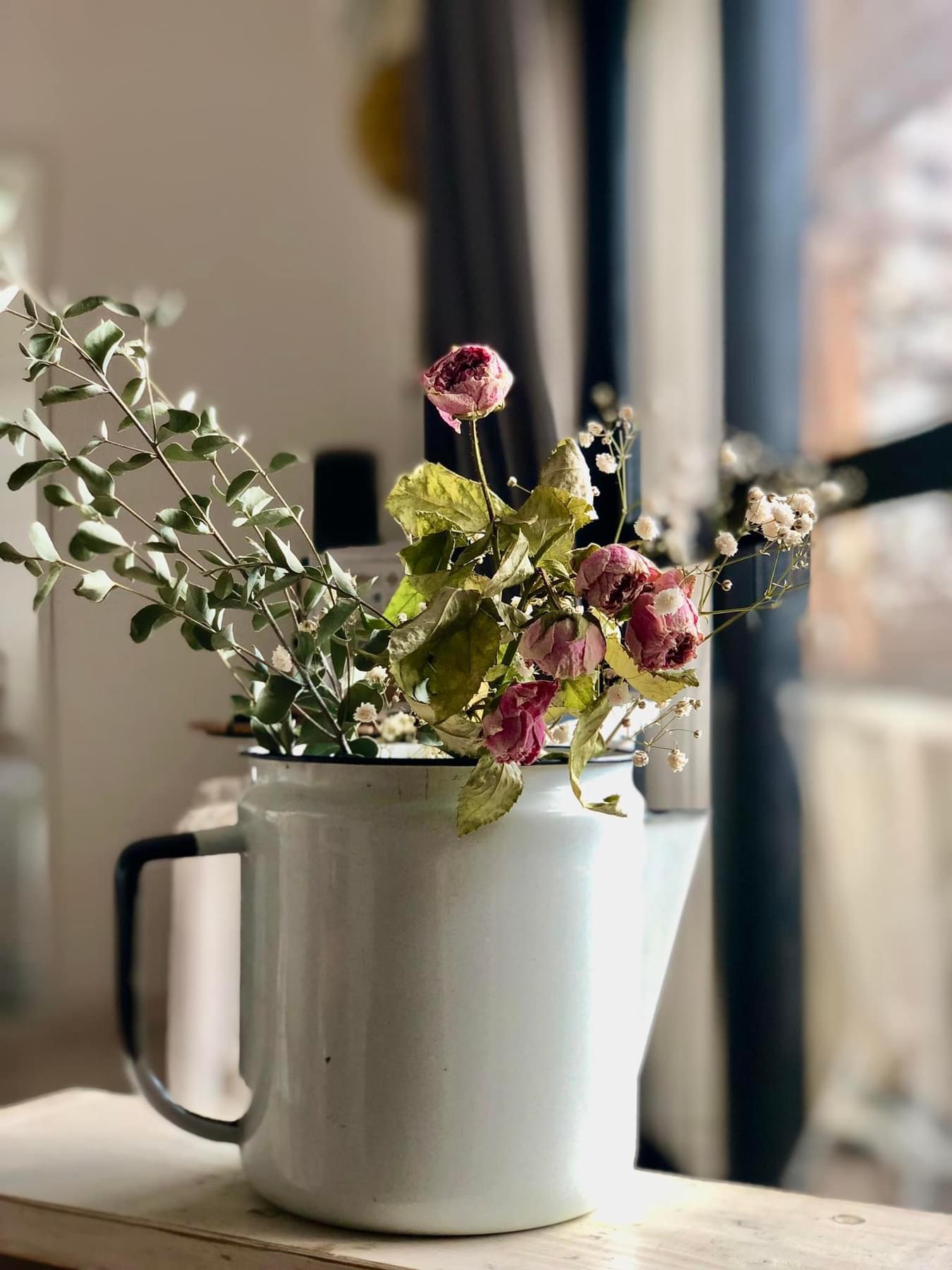 iPhoneでパチリ📷3枚