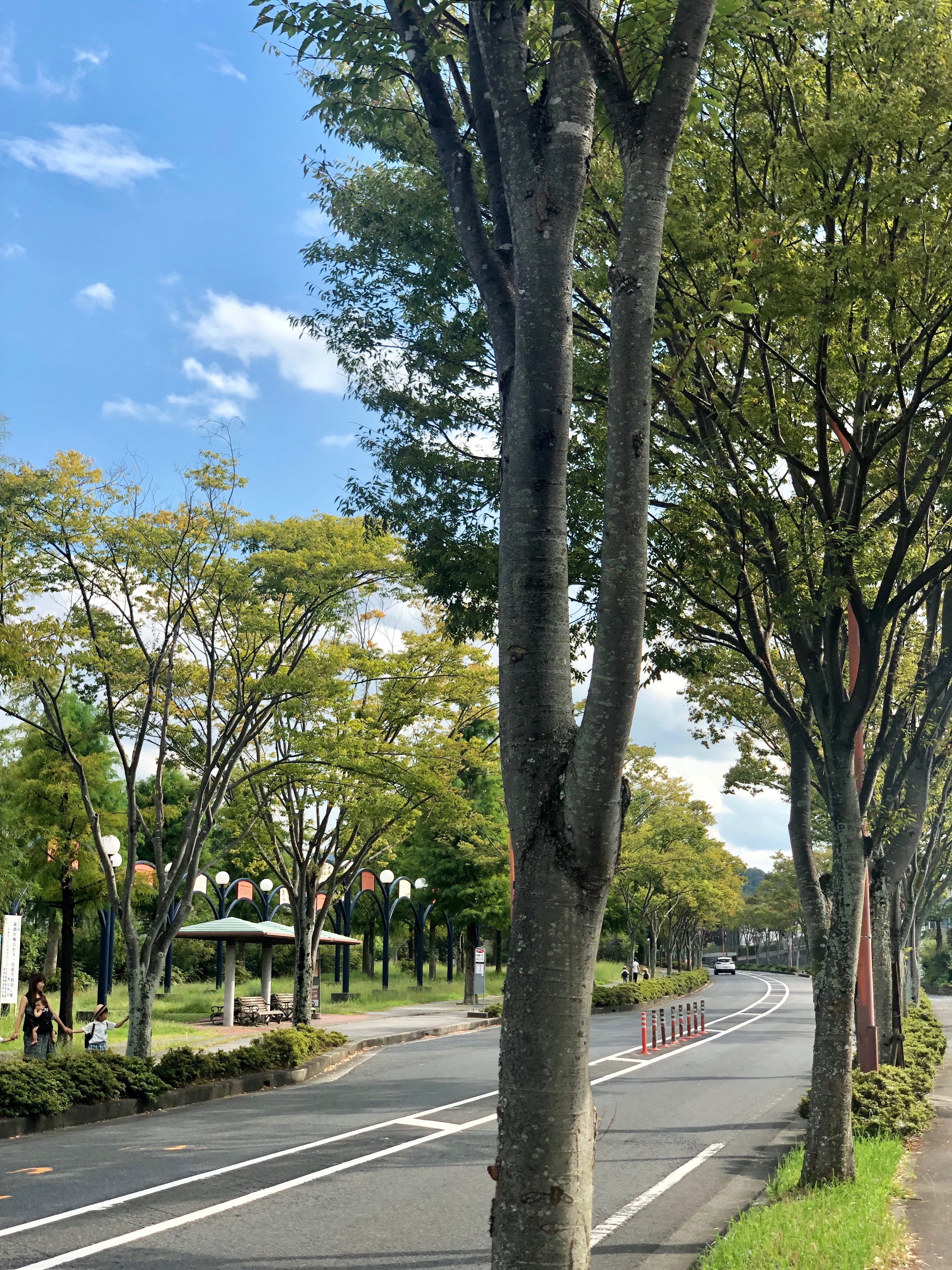 一人時間を味わうということ