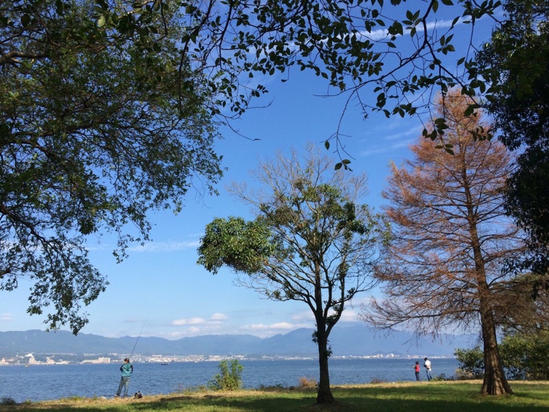 ファッションと自然の色の関係