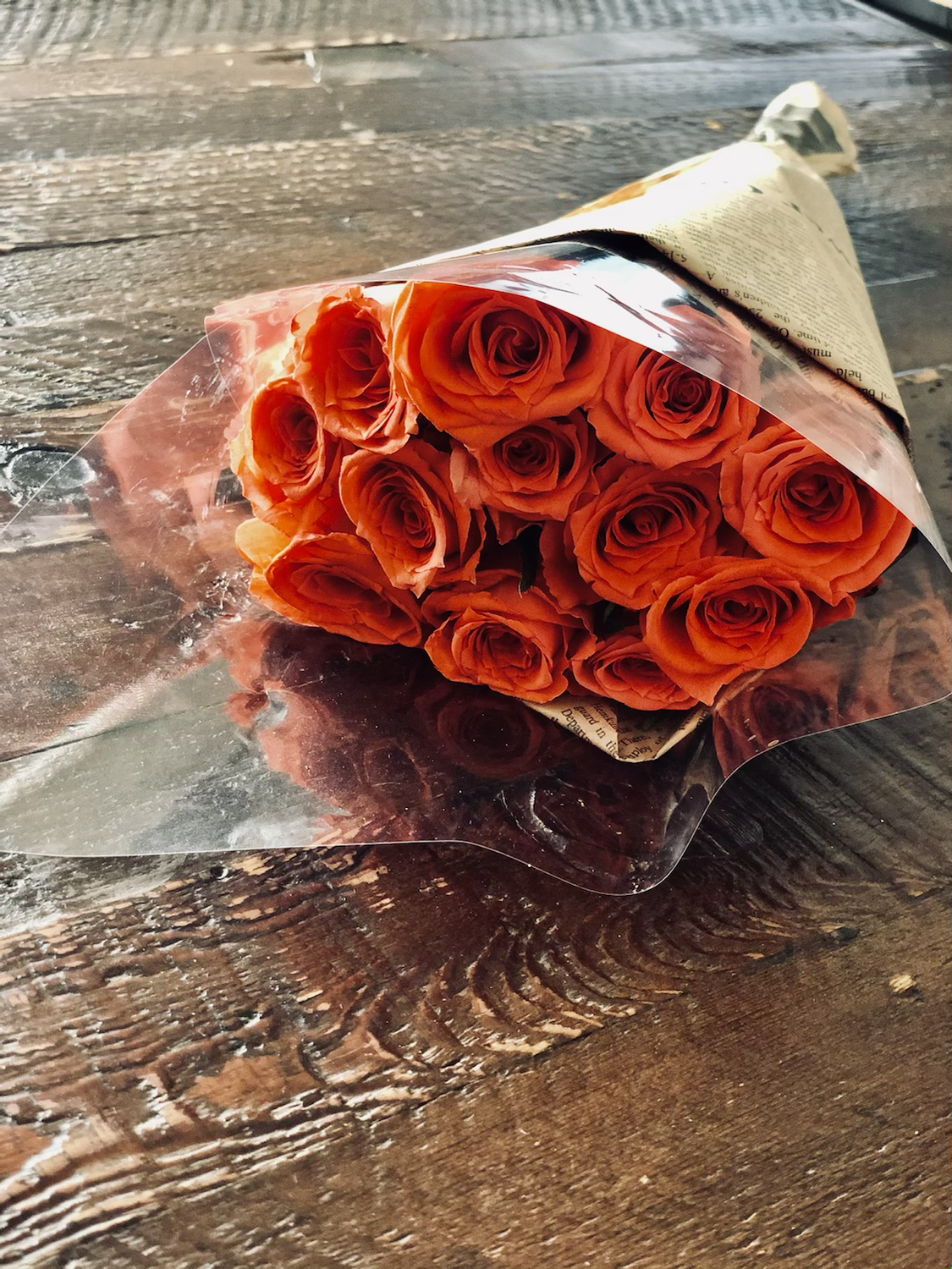 コーラルピンクのバラ