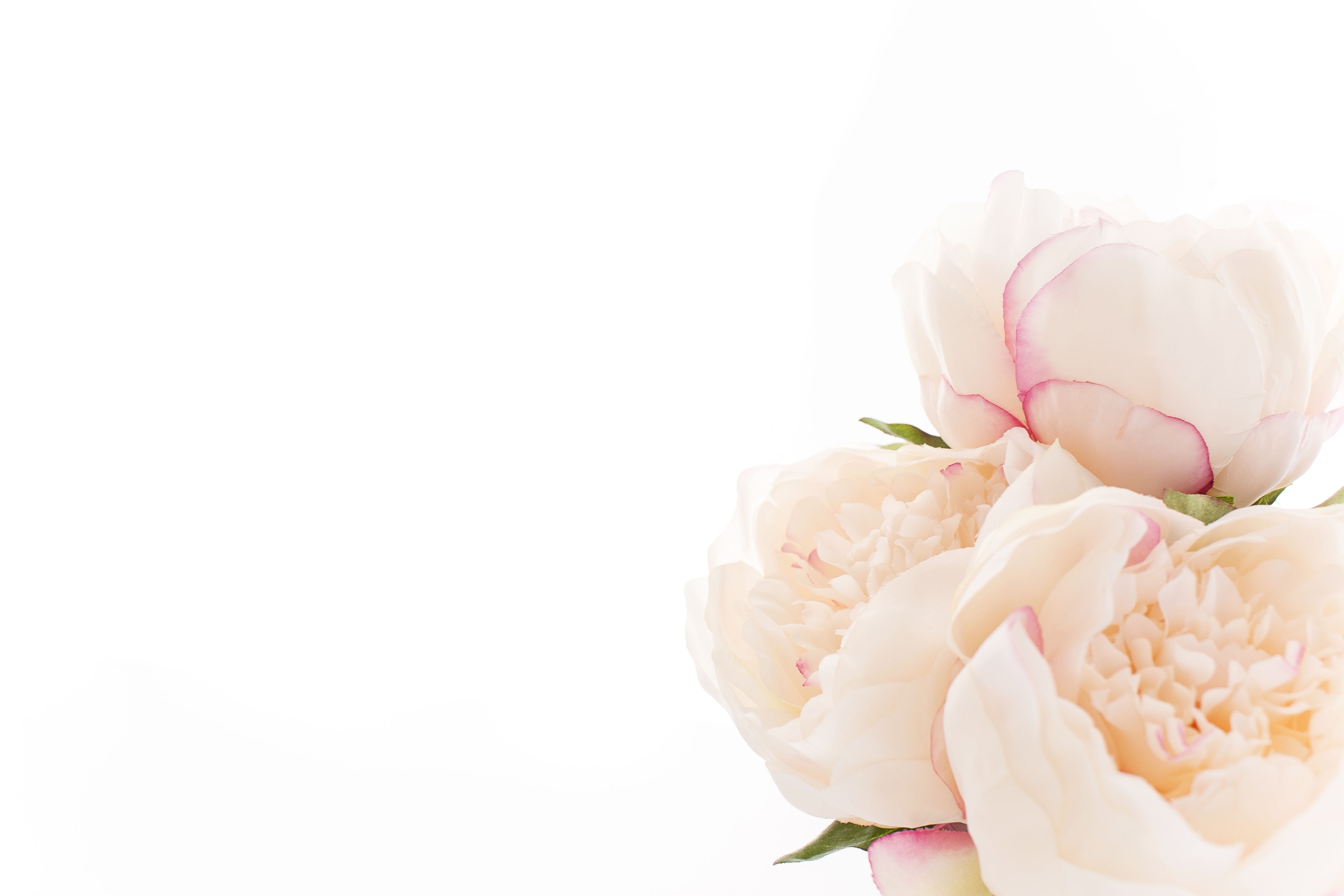 ４ヶ月間 ライフコサルスタート