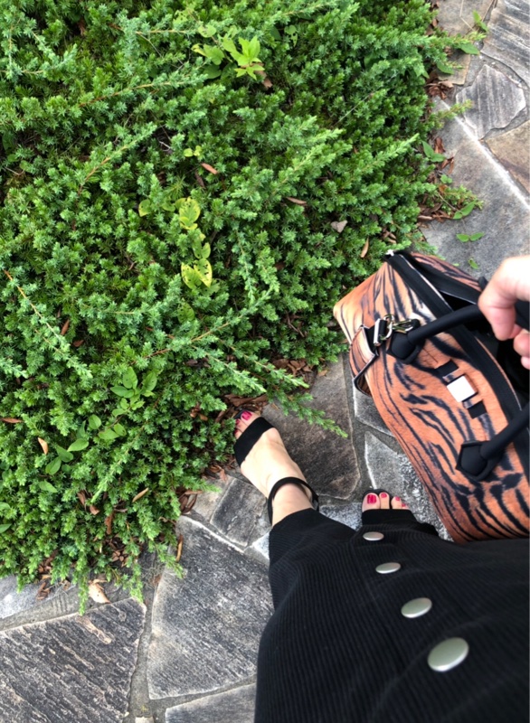 １つ秋小物を主役にするため