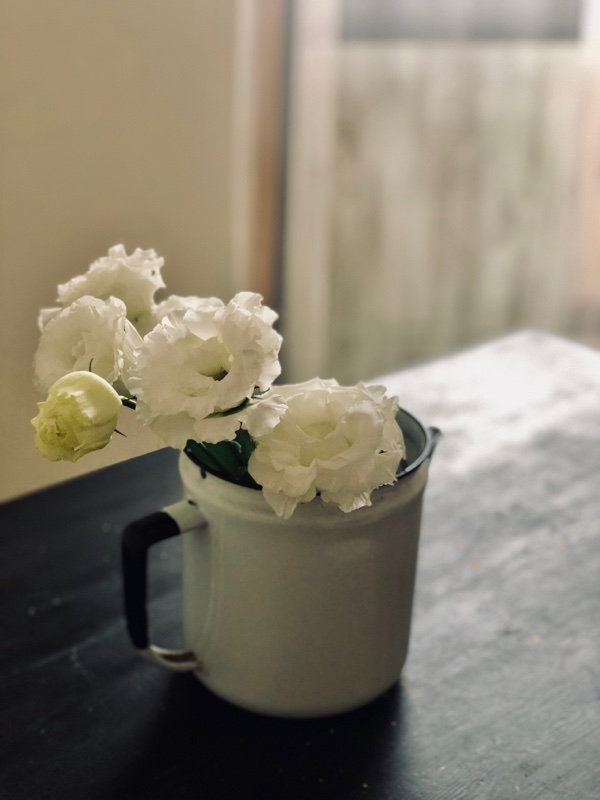 ちょっとした癒し♪