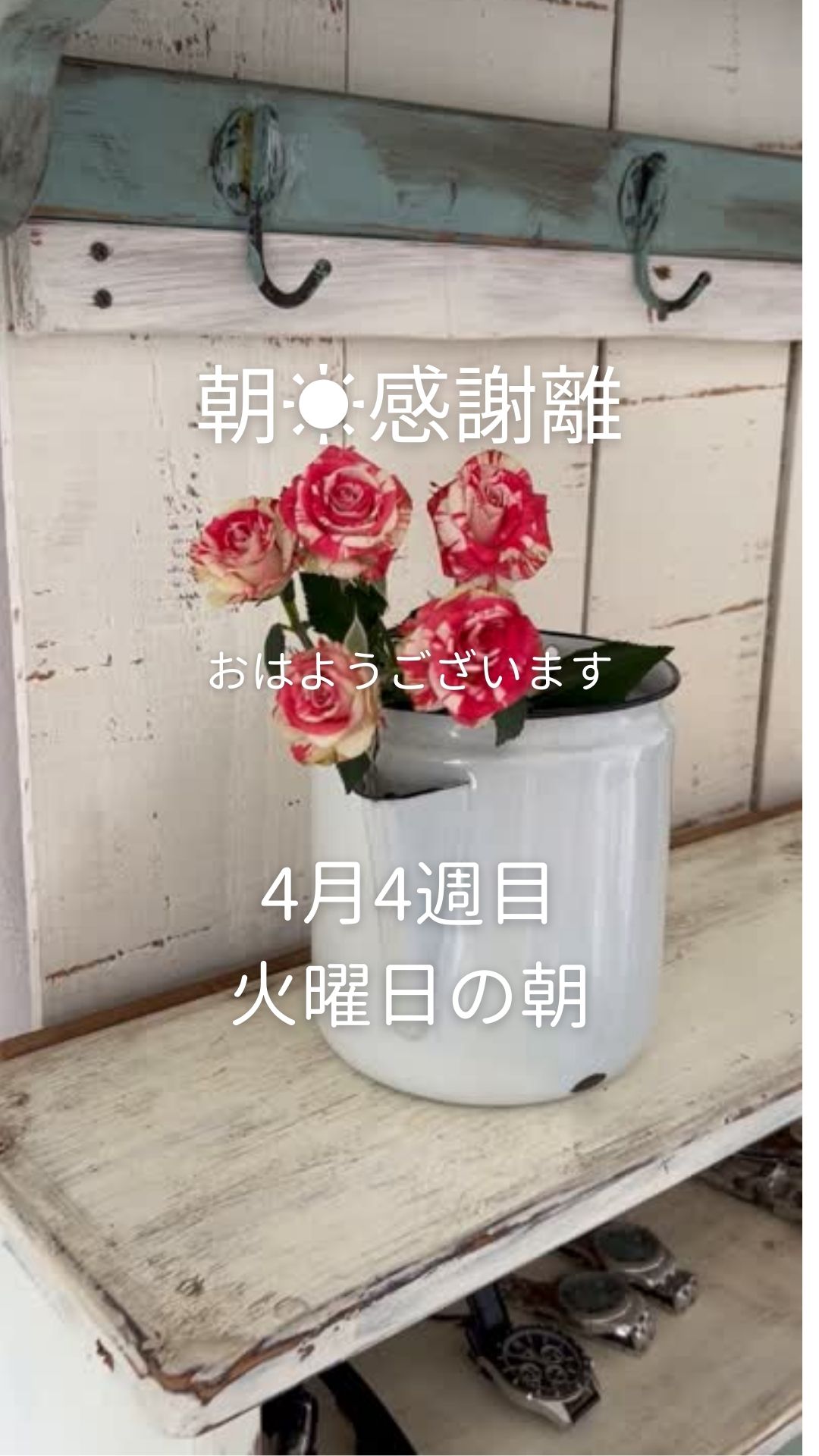 今朝の朝感謝離30分☀️