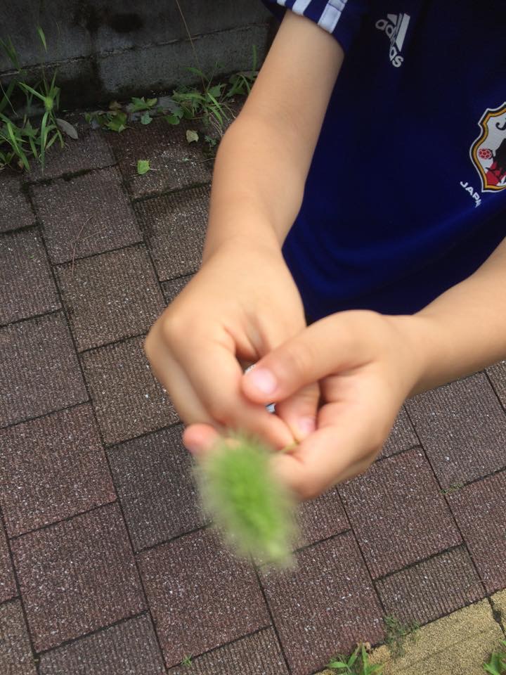 この小さな手は今だけ