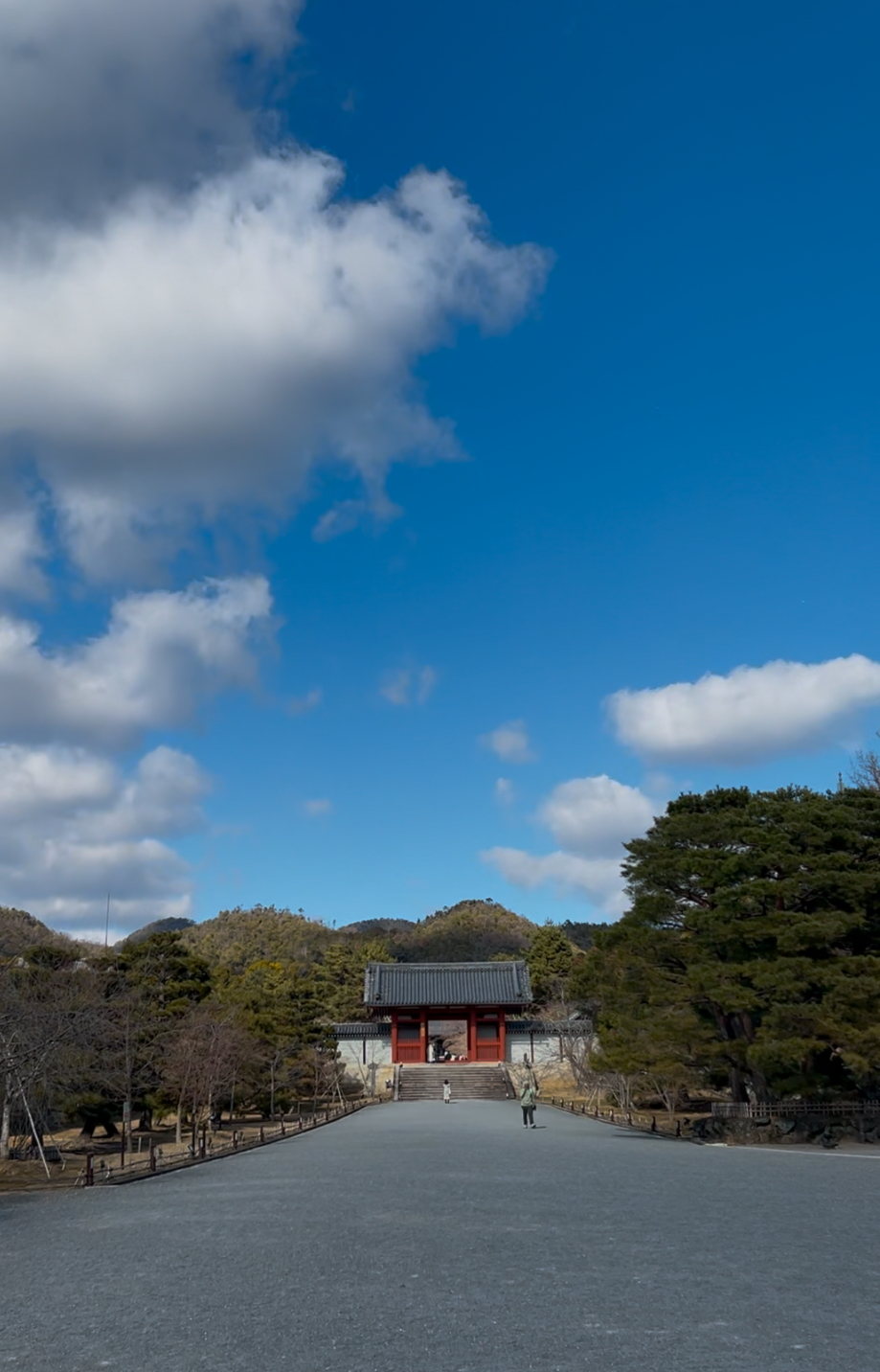 京都御室仁和寺へ