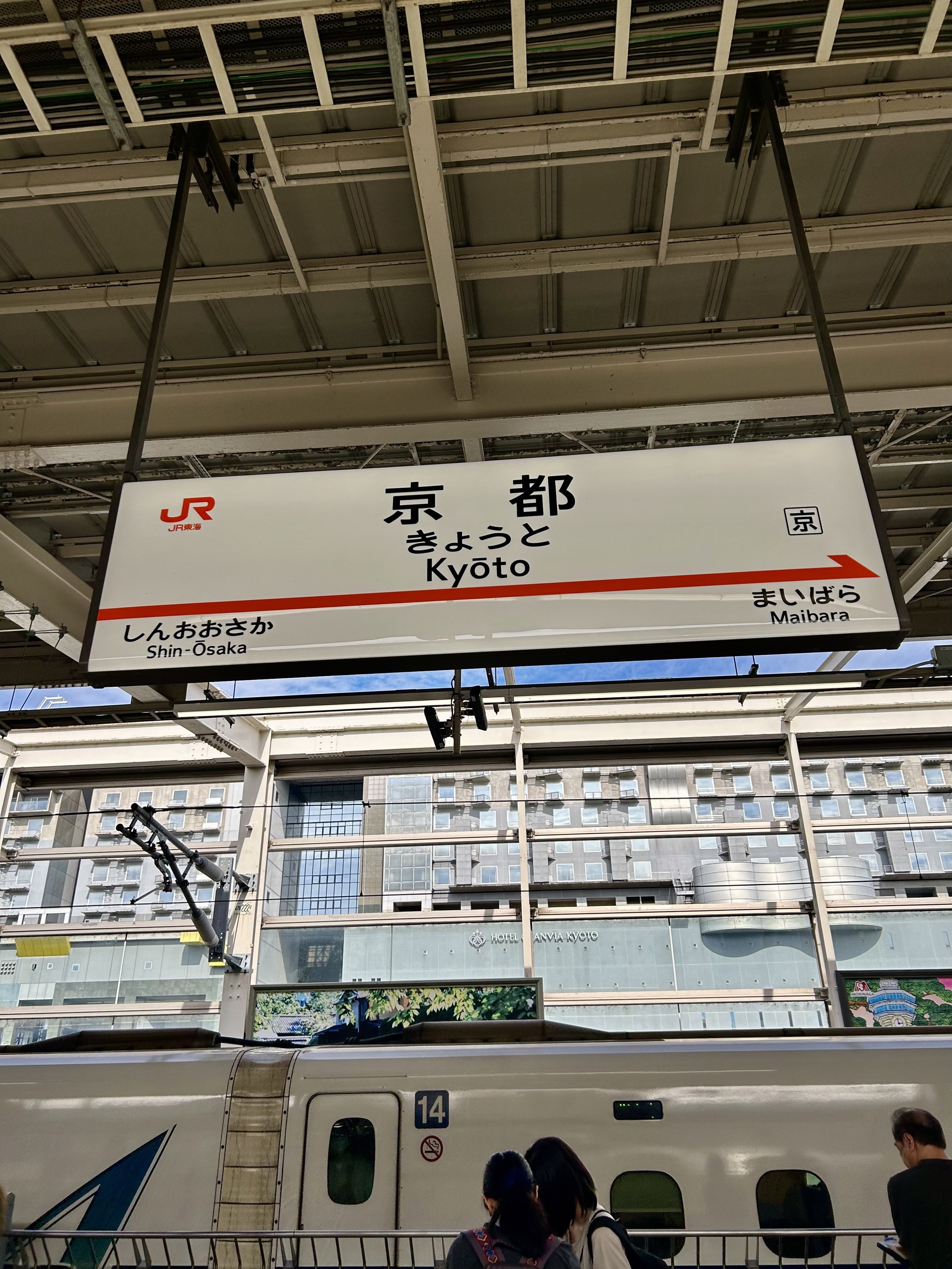 東京に来ています。