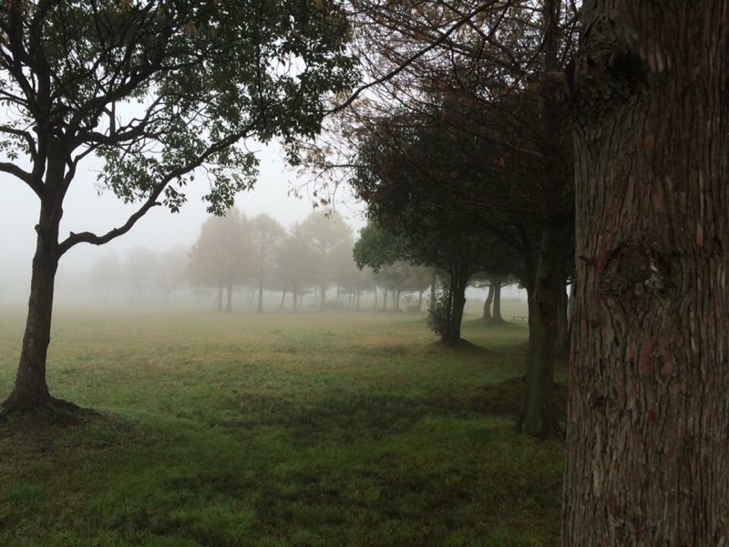 今朝の琵琶湖畔