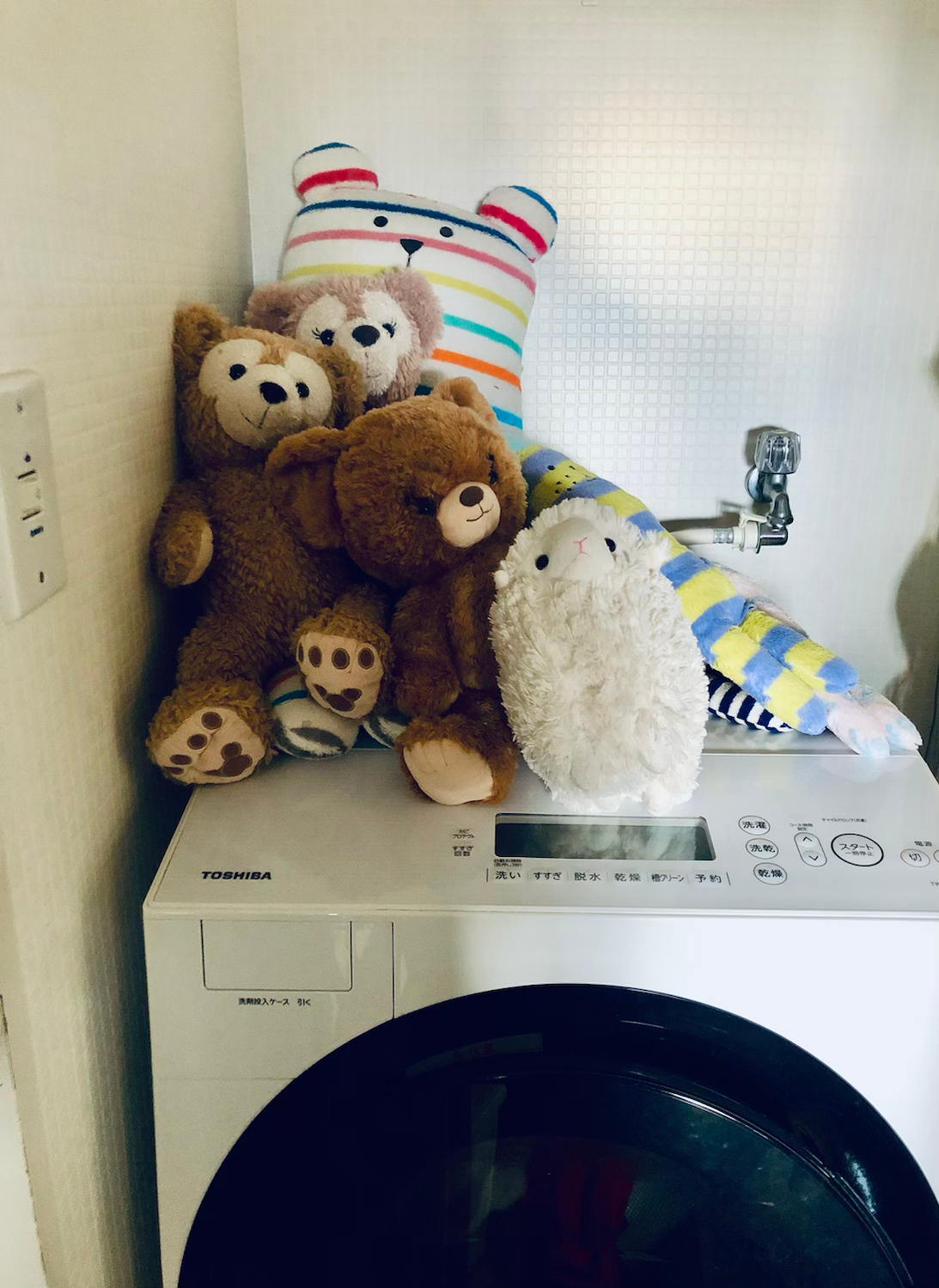 ねいぐるみ大集合❣️