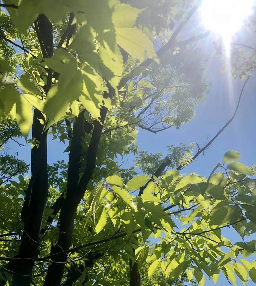 もっともっと自分になる✨