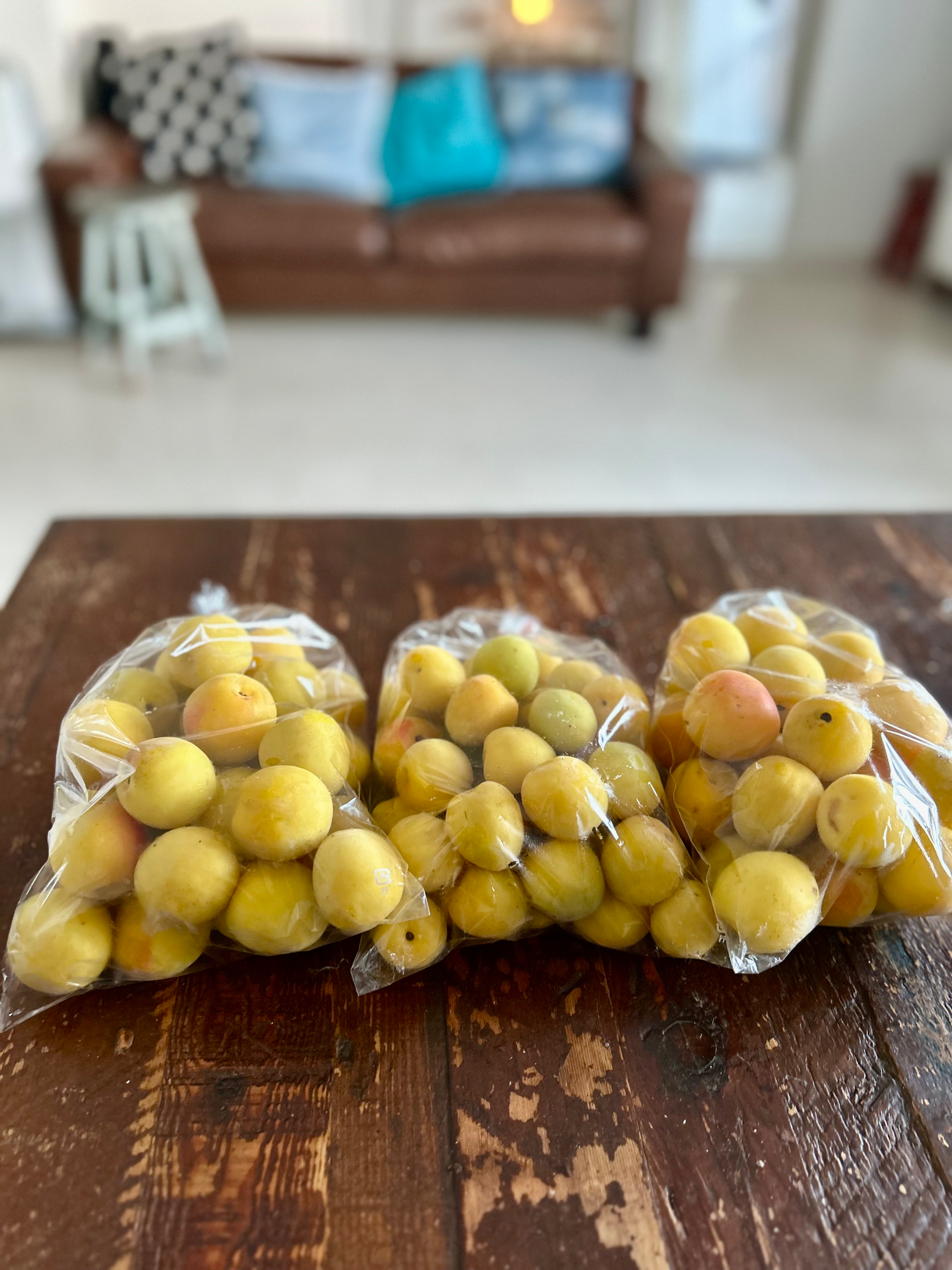 料理は実験😉梅干し編