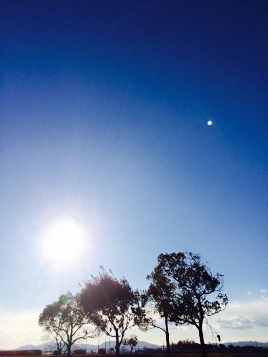 どこを切り取っても素晴らしい景色