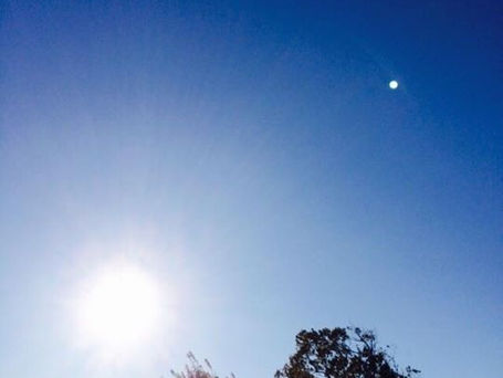 どこを切り取っても素晴らしい景色