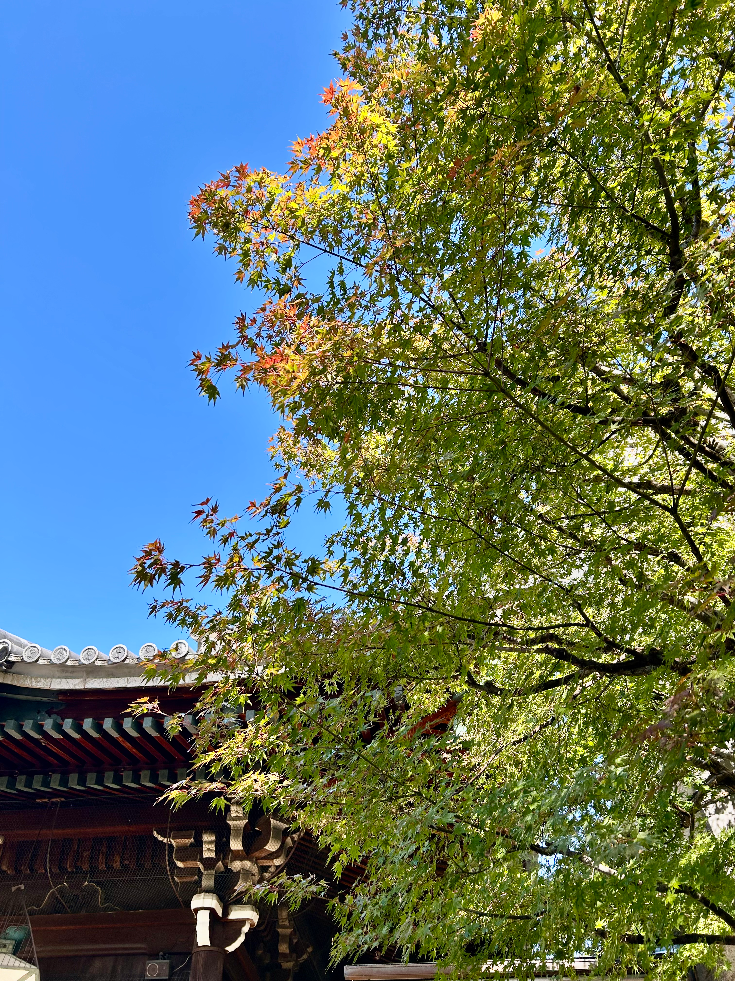 京都お墓まいり