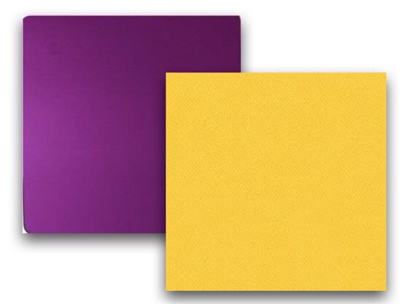 Purple × Yellow配色