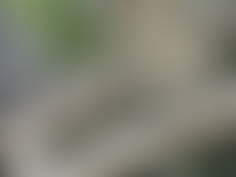 竹生島&白鬚神社