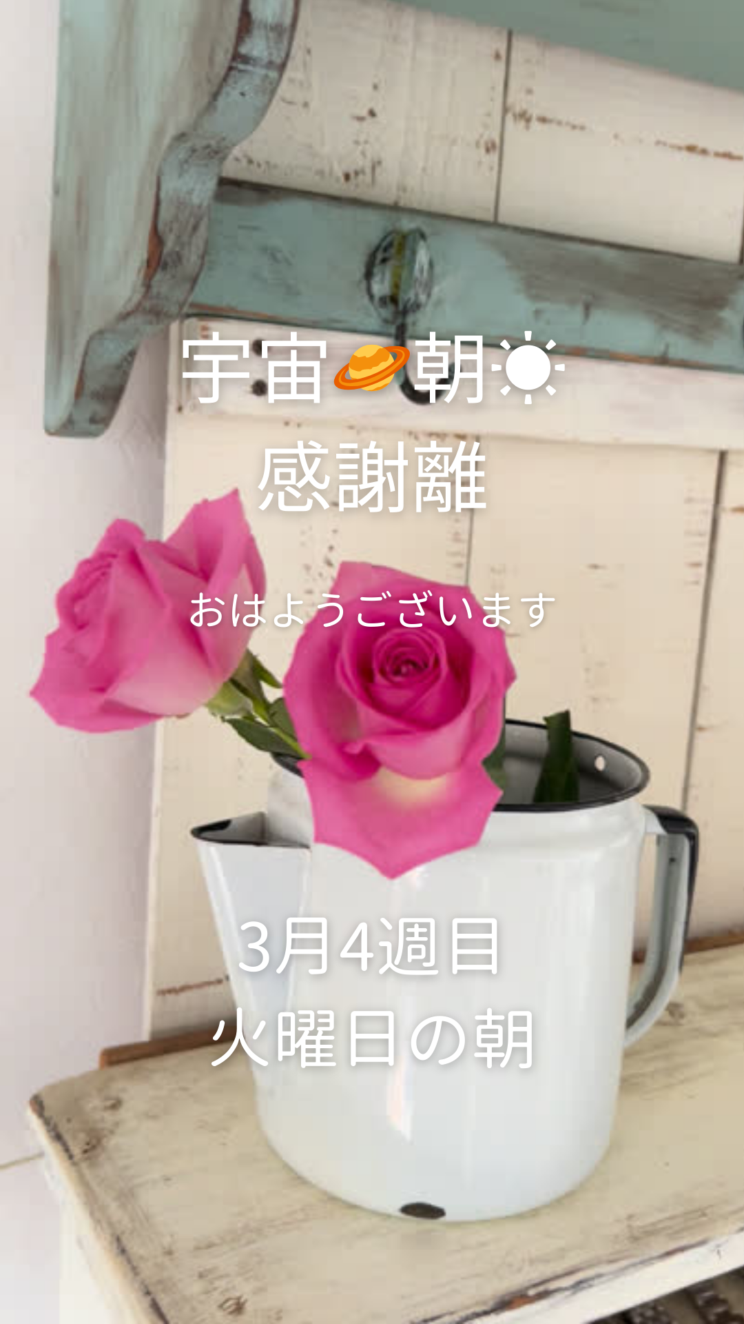 3月の火曜の朝感謝離4週目