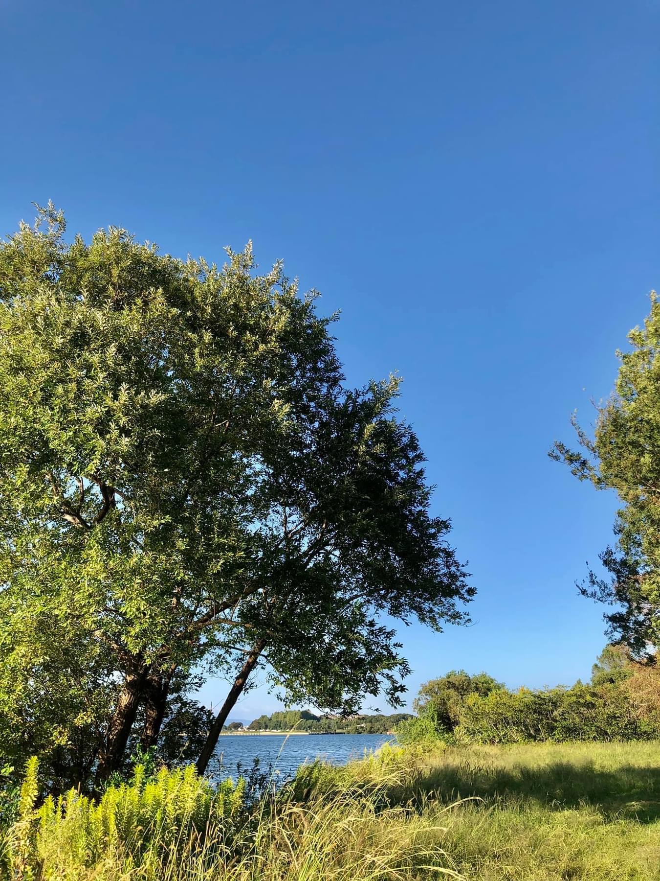 夕方の琵琶湖畔