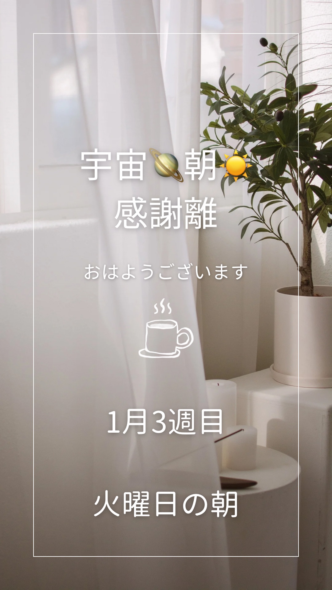 1月3週目の火曜朝