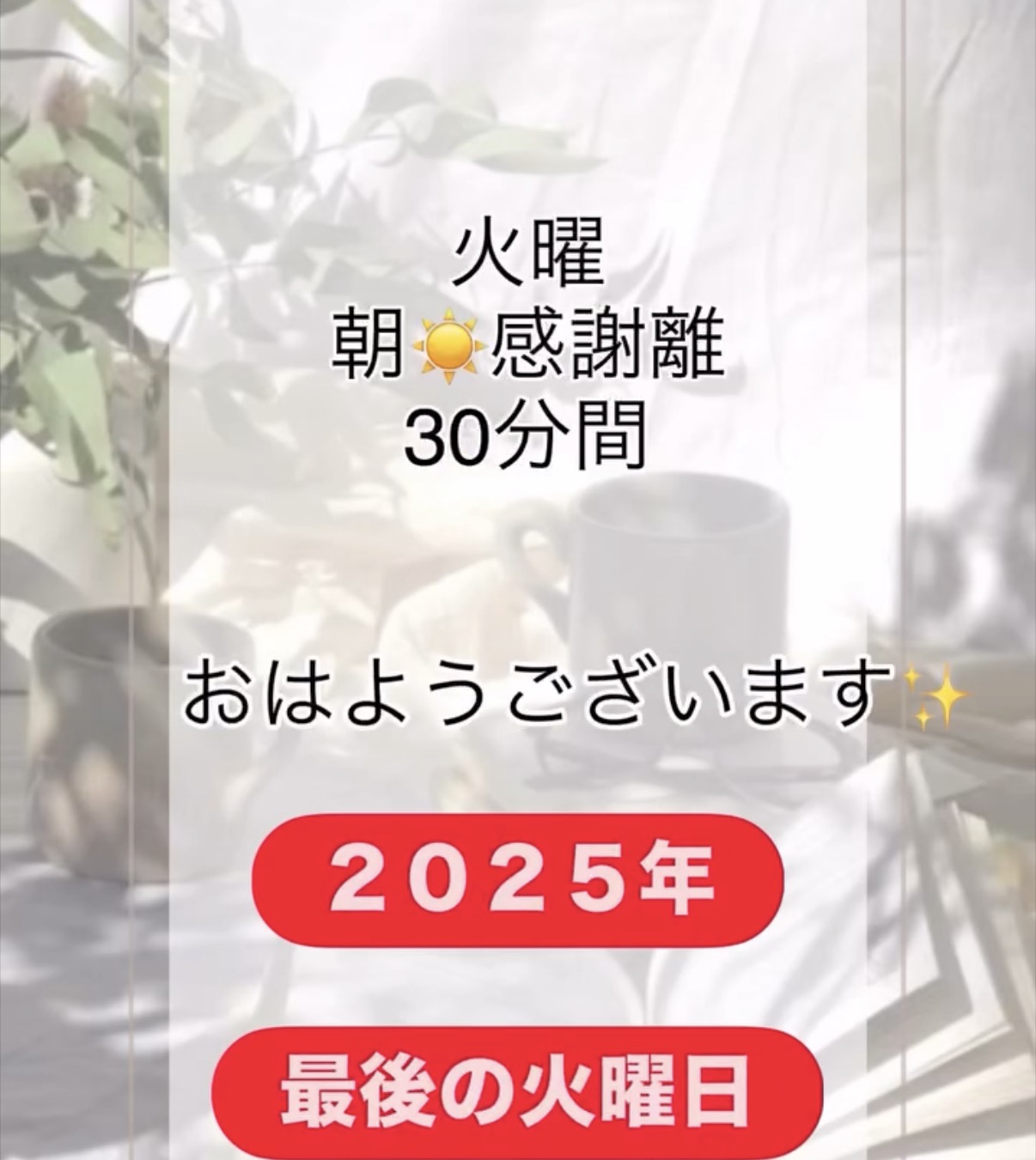 2025年最終の火曜の感謝離でした🧹