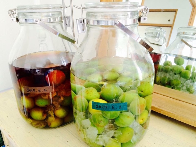 色がきれいな梅酒