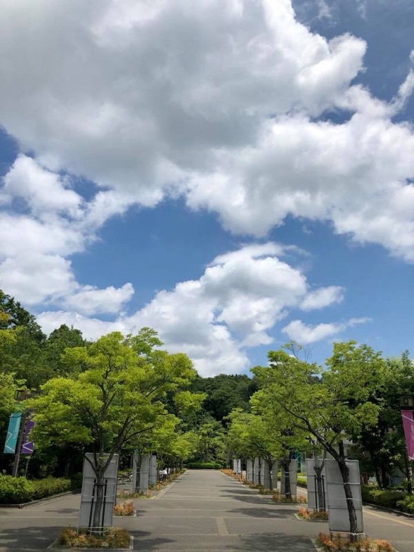 大学のキャンパスが気持ちいい♪