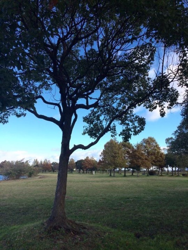 今朝の琵琶湖畔