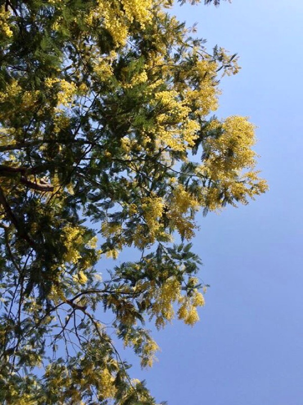 今日の休日コーデ♪秀逸ワンピ