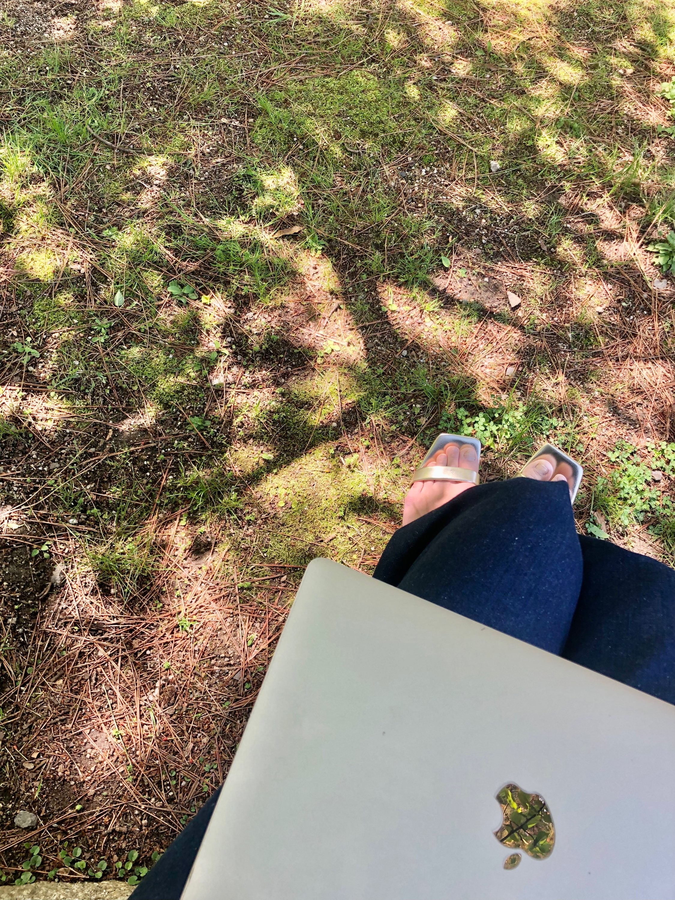 琵琶湖半でPC作業