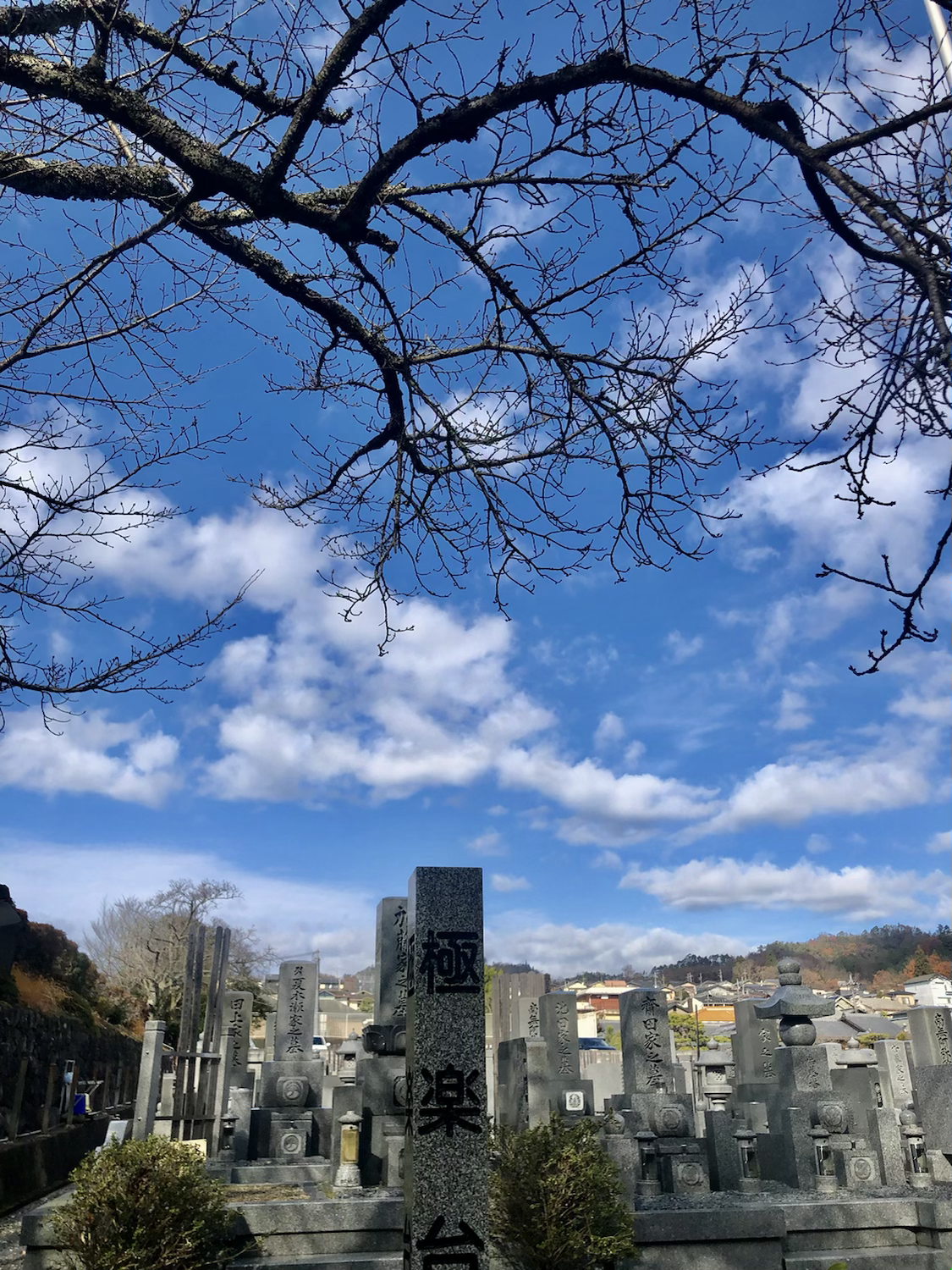 やっと行けたお墓参り