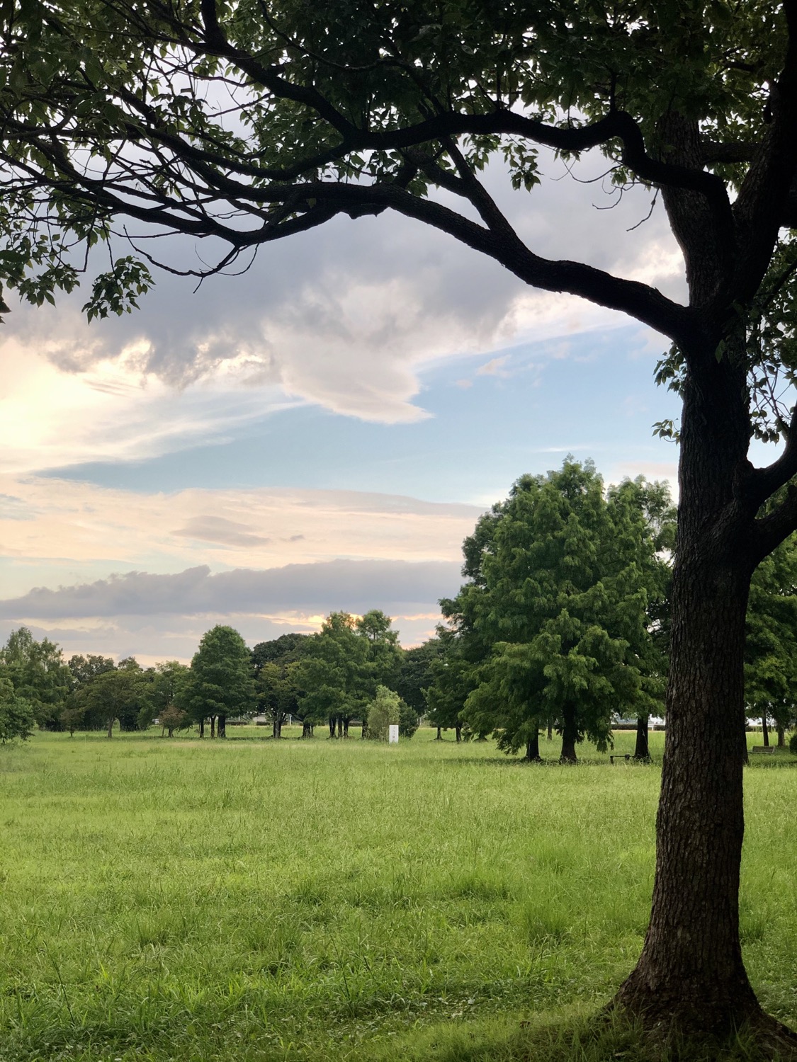 夕暮れ時の琵琶湖畔