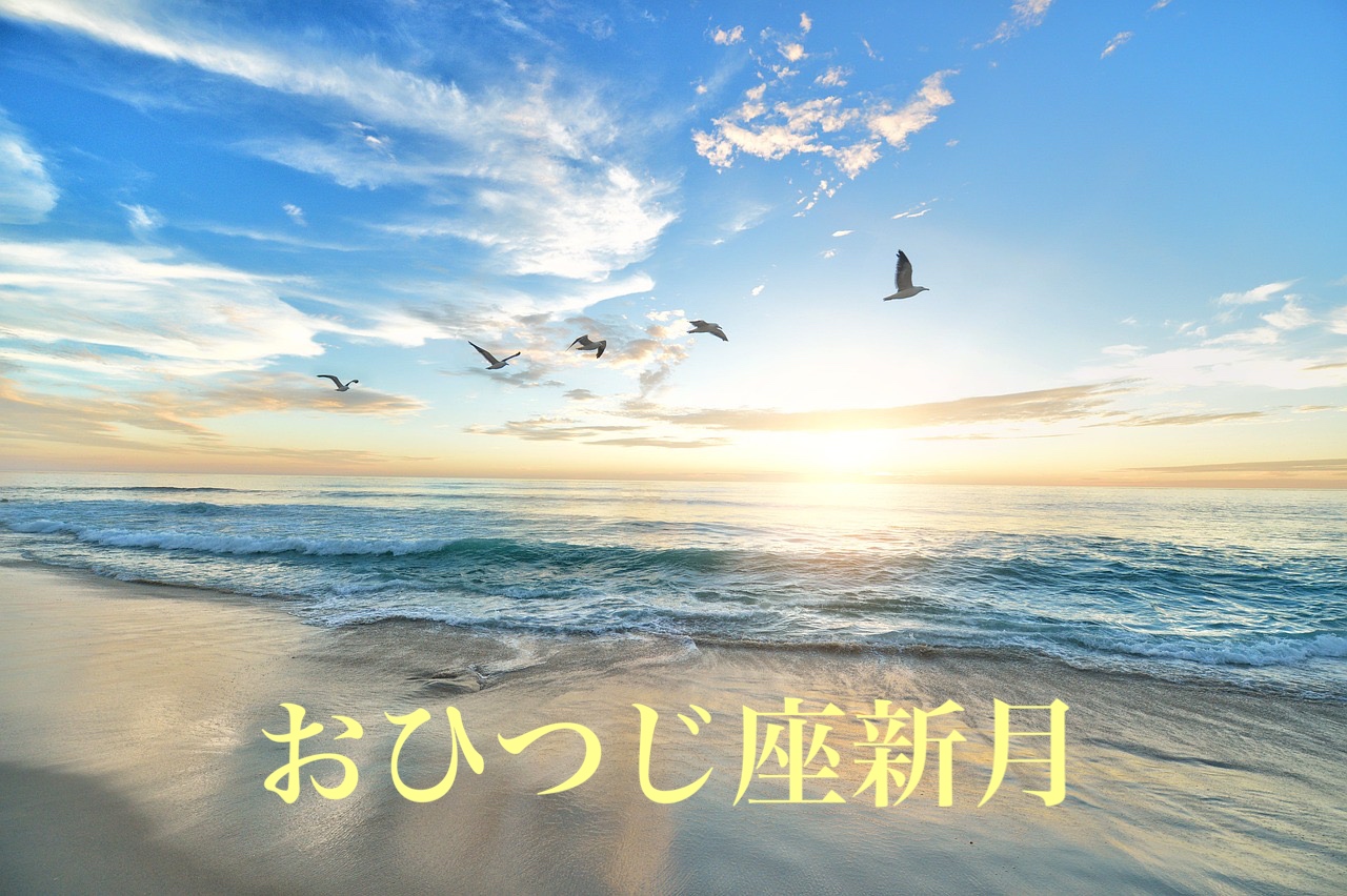 今朝の朝捨離30分