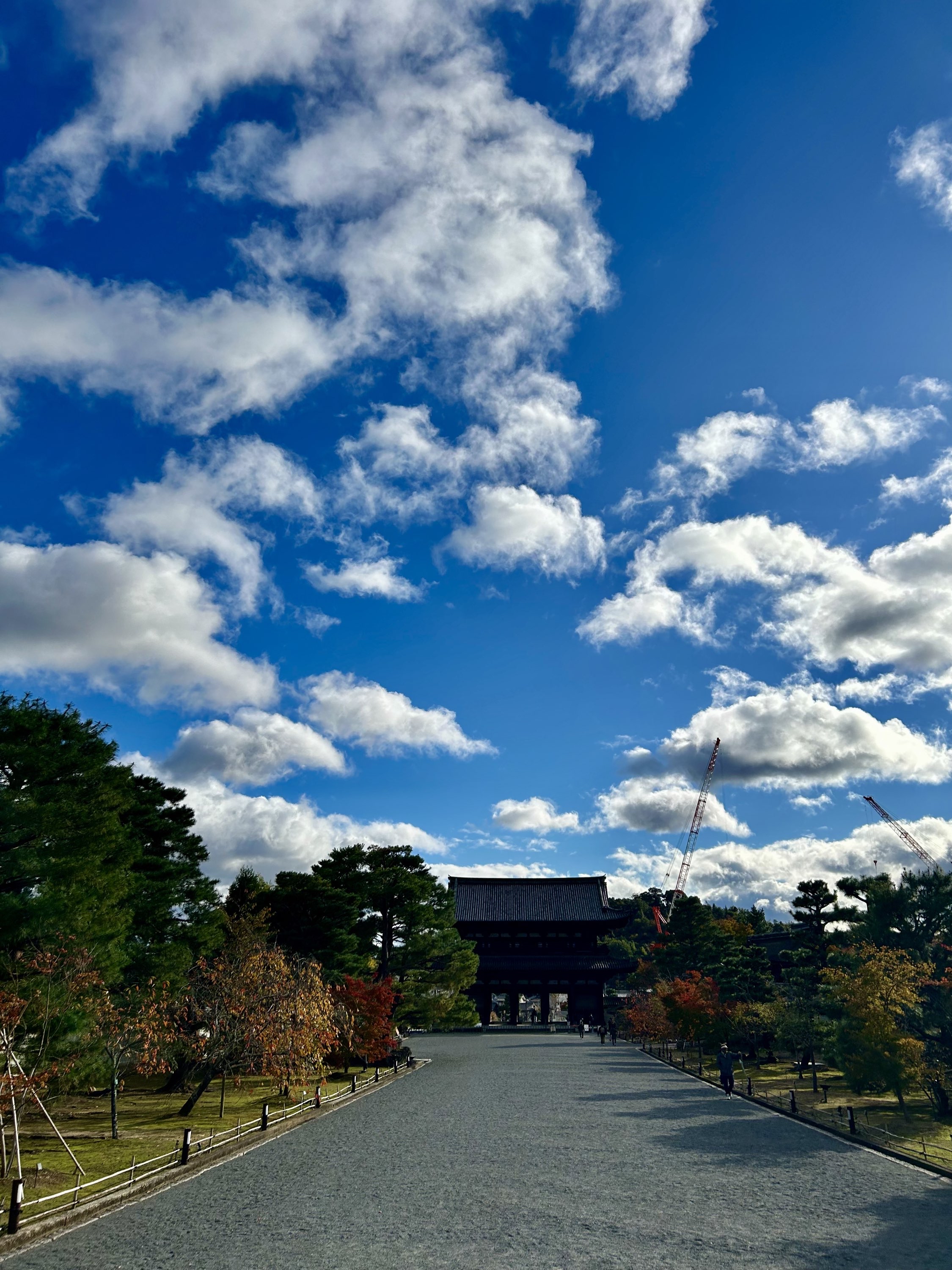 御室仁和寺の観音会