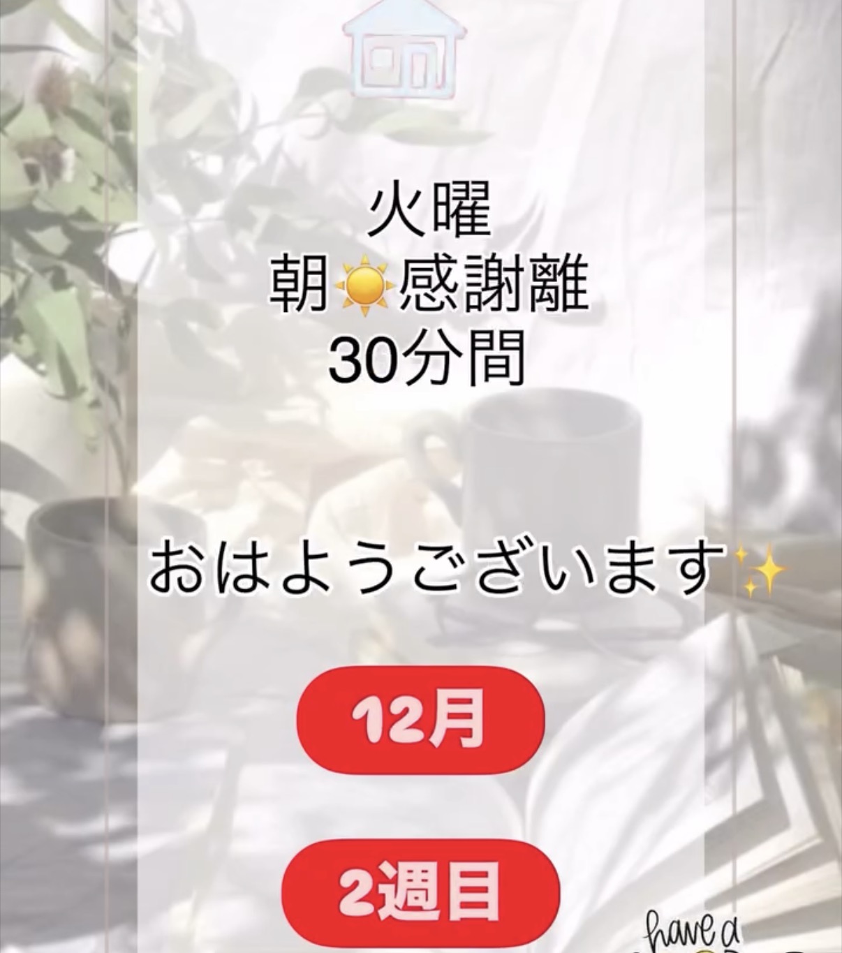 【今朝の朝☀️感謝離30分】