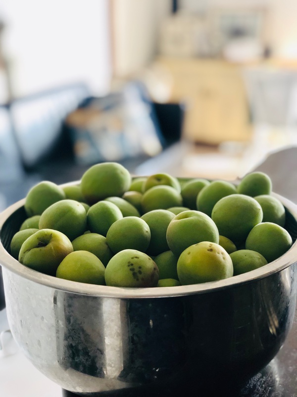 6月は梅酒づくり♪