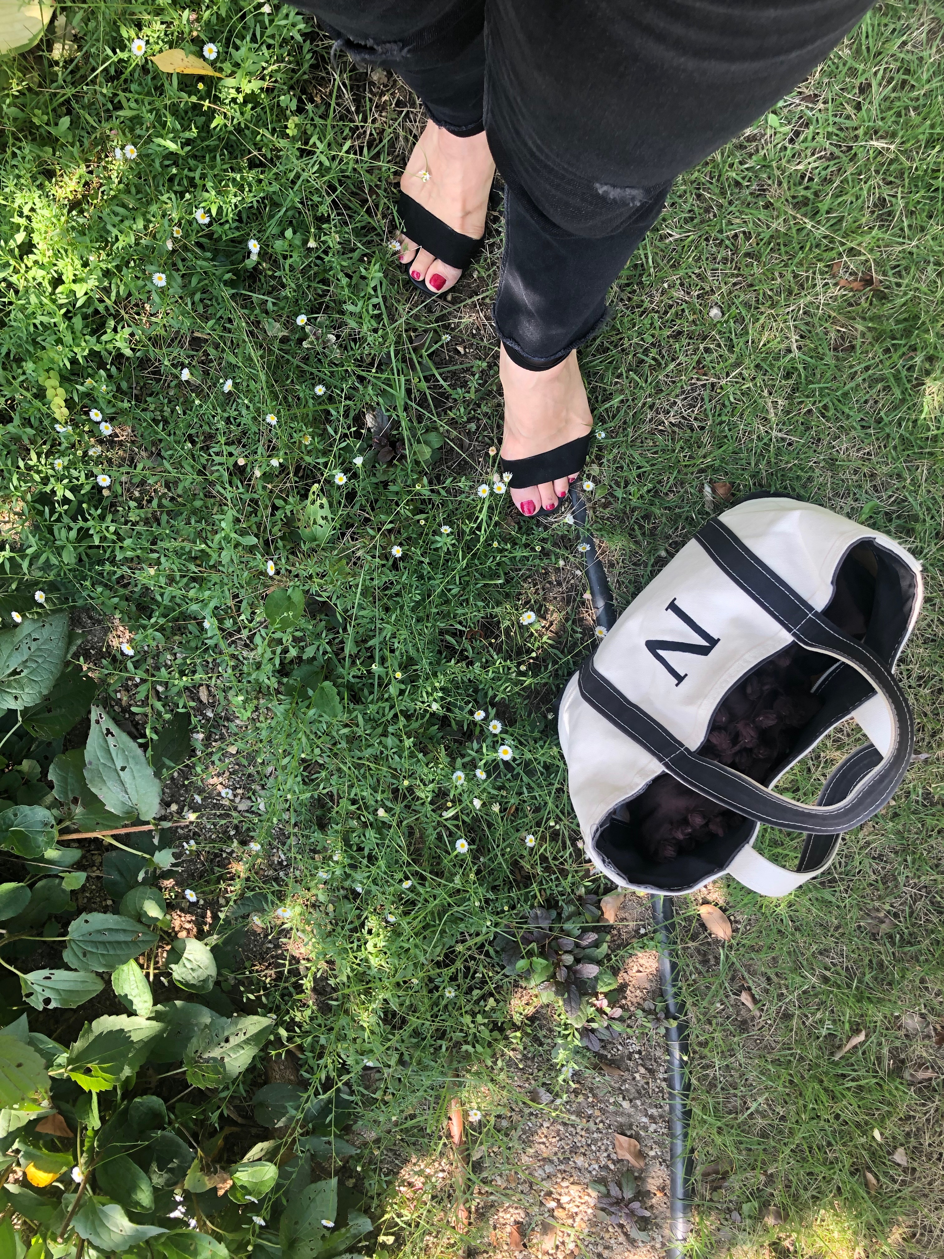 本格的な秋の前のファッション