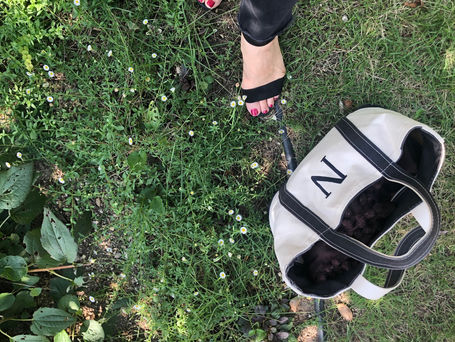 本格的な秋の前のファッション