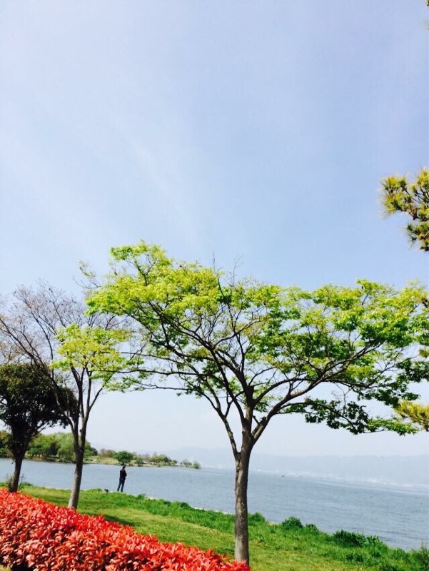 今朝の琵琶湖畔